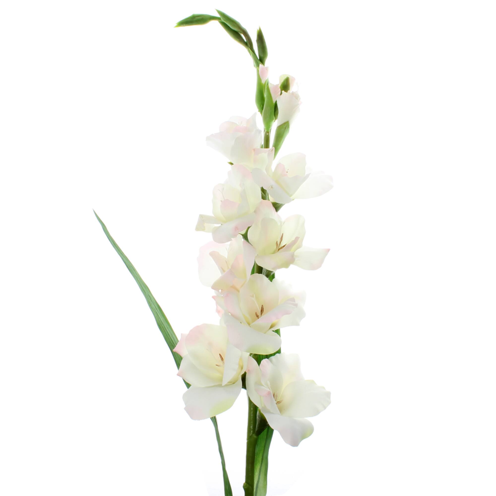 12 Pack: White Gladiolus Stem by Ashland®